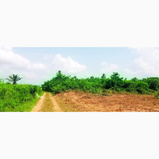 Residential Land For Sale - 500 Square Metres