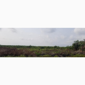 600sqm Land Behind Chalcedony School, Abijo