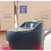 Luxury New Water Closet