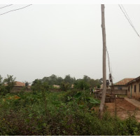 Building for Sale