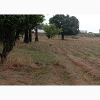 2.26 Hectares Of Land With Functional School Structures