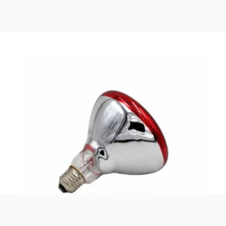 Brooding Bulb