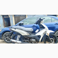 New Qlink Rave 150 2022 White