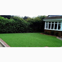 Carpet Grass In Ikeja For Sale