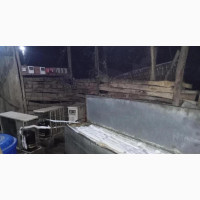 Ice Block Factory for Sale
