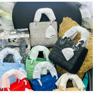 Christian Dior Midi Handbags