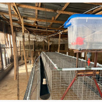 Layers Cage