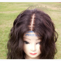 Bodywave Closure Wig