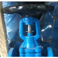 Spirax Cycle Globe Valve DN 50