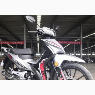 Twinco Dynasty 2023 Silver - Brand New Scooter