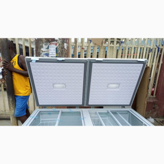LG Double Doors Freezer, 600 Litres