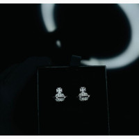 Fashion Jewelry - Classic Earrings for Women