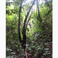 10 Acres of Residential Land Available at Oriba Village Epe LG