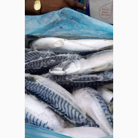 Fresh Frozen Foods: Fish, Chicken, Turkey, Sausage