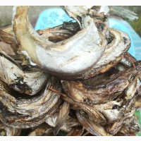 Smoked Panla Fish
