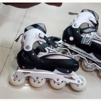 In Line Skate