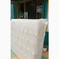 Mouka Regina 6 by 4 by 8inches With 4years Warranty