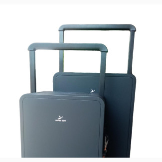 Set of 2 Black Leaves King Executive Celebrity Luggage Boxes