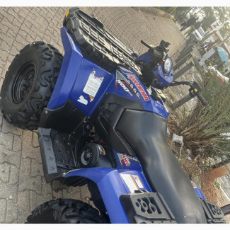 Polaris 2004 Blue