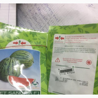 Watermelon Seeds
