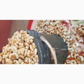 Crunchy Cashew Nuts From Producer Price