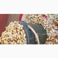 Crunchy Cashew Nuts From Producer Price
