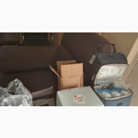 JIDEN Double Electric Breast Pump