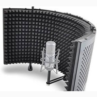 Vocal Boot Microphone Diffuser