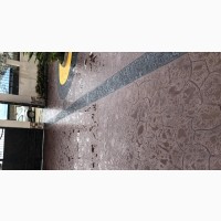 Floor Design Concrete Sted Compound Floor Polish Color