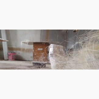 POP Plain Moulding