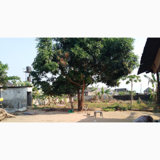 2.5 Plots of Land With Cofo for Sale in Eneka