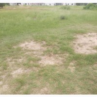 Residential Land for Sale - 1 to 100 Plots Available