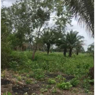 Over 50 Plots Of Land For Sale