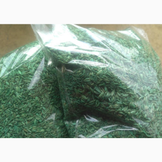 Organic Fennel Seeds (Per Kg)