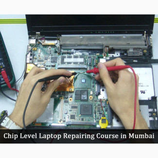Desktop/Laptop Repairer/Networking