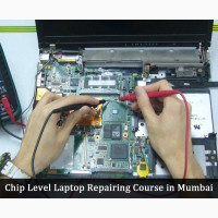 Desktop/Laptop Repairer/Networking