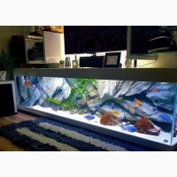 Console Aquarium