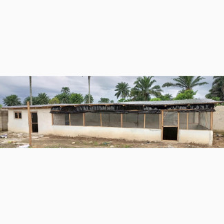 Poultry Farm on 2 and Half Plots of Land Fenced and Gated