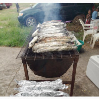 Delicious Barbeque Fish, Chicken and Asun