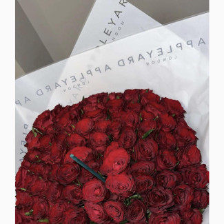 Red Roses Wrapped