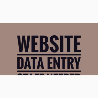 Website Data Entry Staff Needed