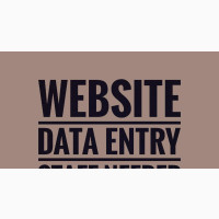 Website Data Entry Staff Needed