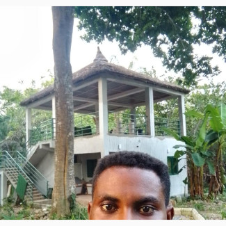 Gazebo Construction and Repair Services by Abel G Landscape Specialist
