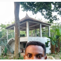 Gazebo Construction and Repair Services by Abel G Landscape Specialist
