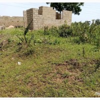 Ver Cheap 1/2 Plot of Land for Sell at Amonyo