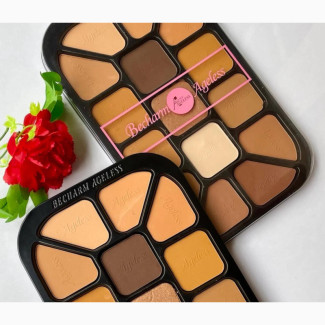 Becharm Ageless 15 in 1 Powder Palette - Multi Colors