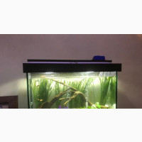 Aquarium Biggi