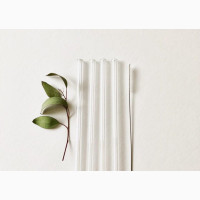 Clear Reusable Straw with Brush - Pack of 4