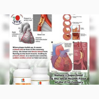 DXN Ganoderma (RG GL) and Spirulina - For a Healthy Heart