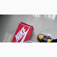 Nike Dunk Low Michigan
